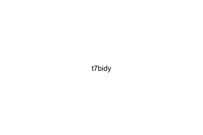 t7bidy