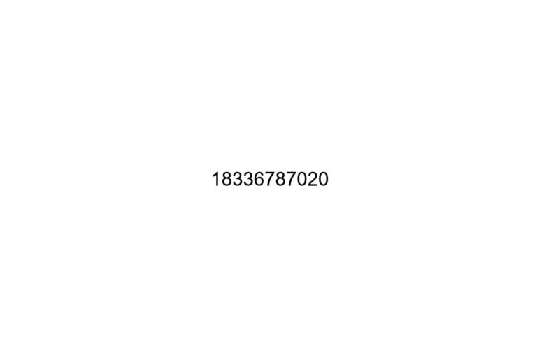 18336787020