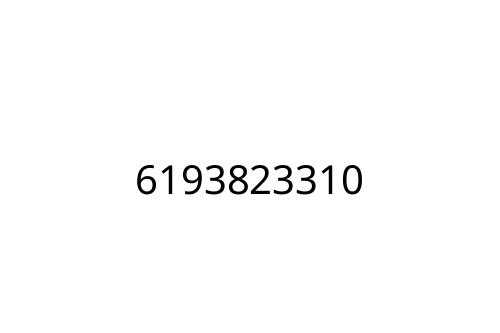 6193823310