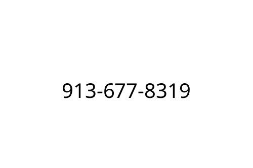 913-677-8319