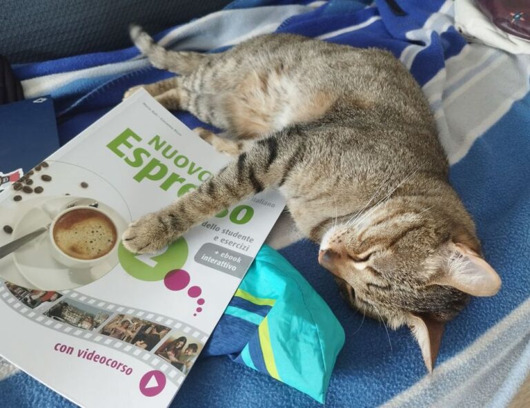 how air conditioner uy48lo works in house