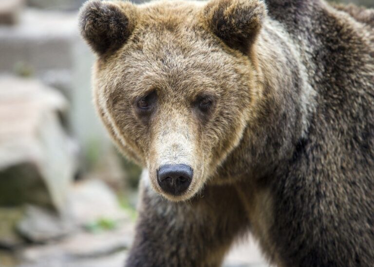 how to hacking zillexit software