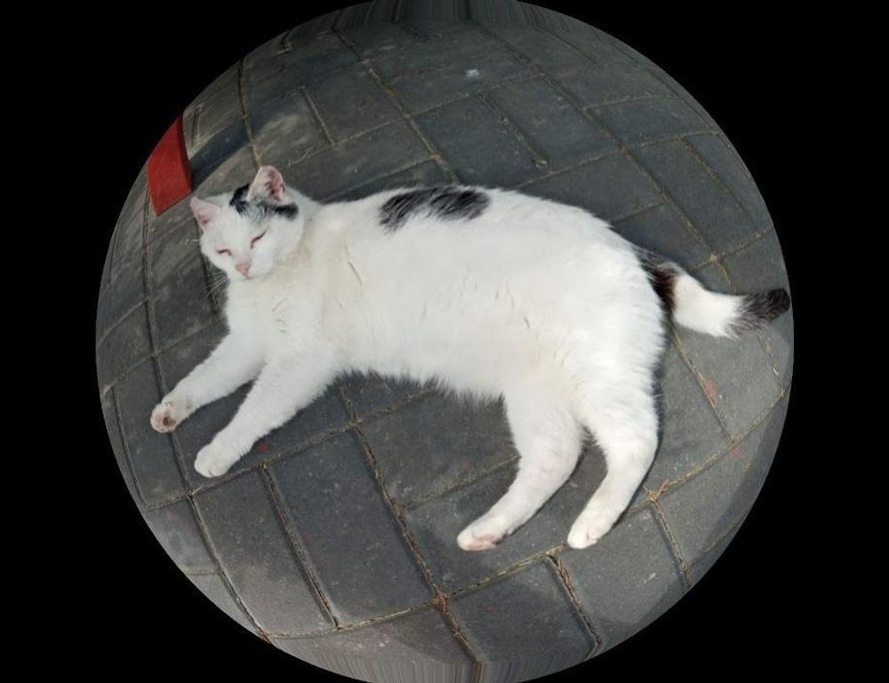 python software issue 0297xud8