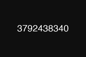 3792438340