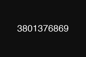 3801376869