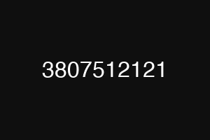 3807512121