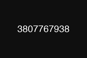 3807767938