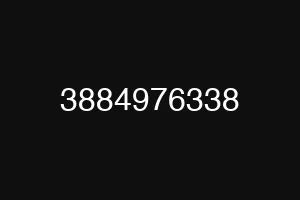 3884976338