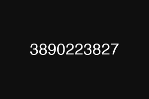 3890223827