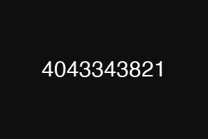 4043343821