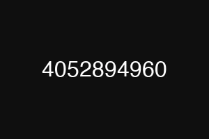 4052894960