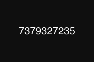 7379327235