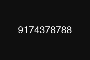 9174378788