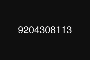 9204308113