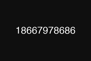 18667978686
