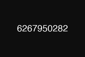 6267950282