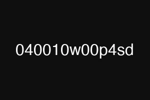 040010w00p4sd