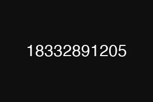 18332891205