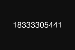 18333305441