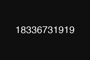 18336731919