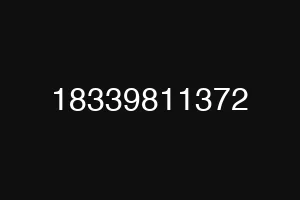 18339811372