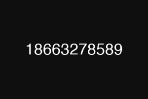 18663278589