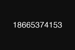 18665374153