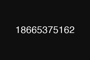 18665375162