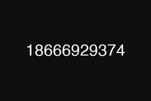 18666929374