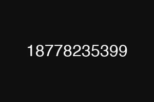 18778235399