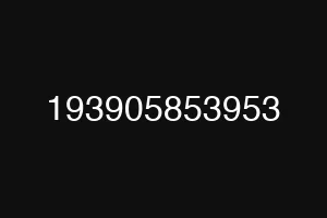 193905853953
