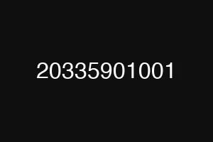 20335901001