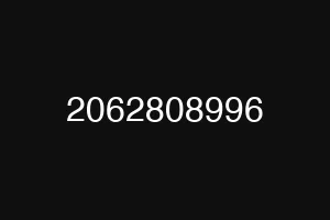 2062808996