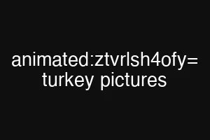 animated:ztvrlsh4ofy= turkey pictures