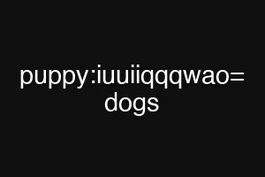puppy:iuuiiqqqwao= dogs